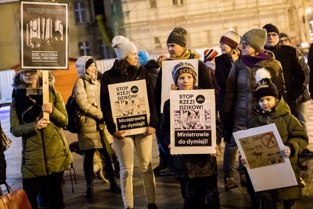 Mieszkańcy Bydgoszczy protestowali przeciw pomysłom masowego odstrzału dzików.
