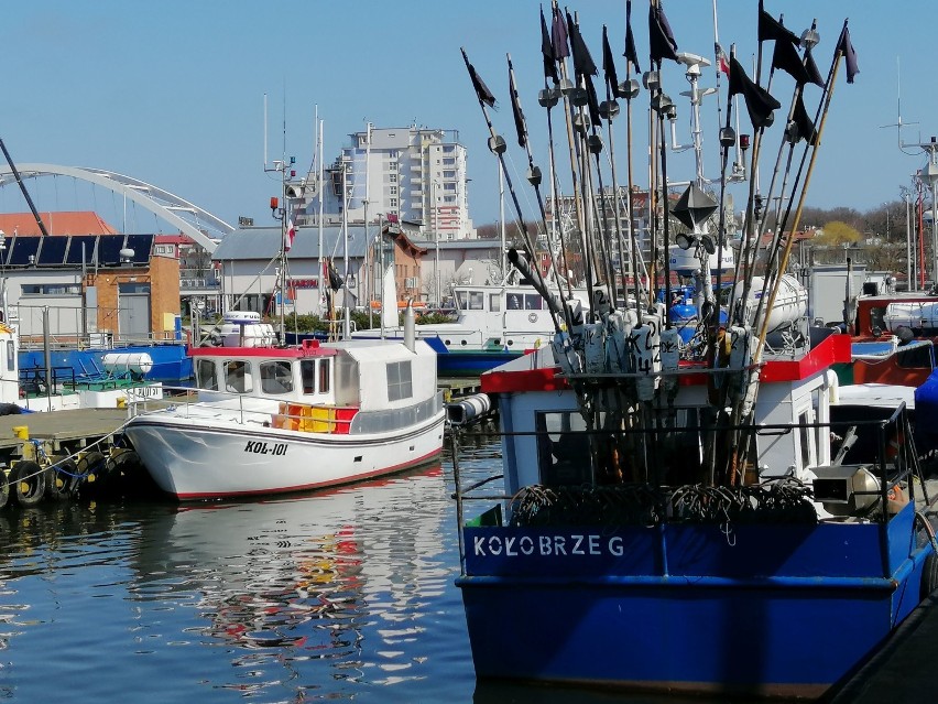 Po ile ryby w Kołobrzegu? Zajrzeliśmy do portu rybackiego