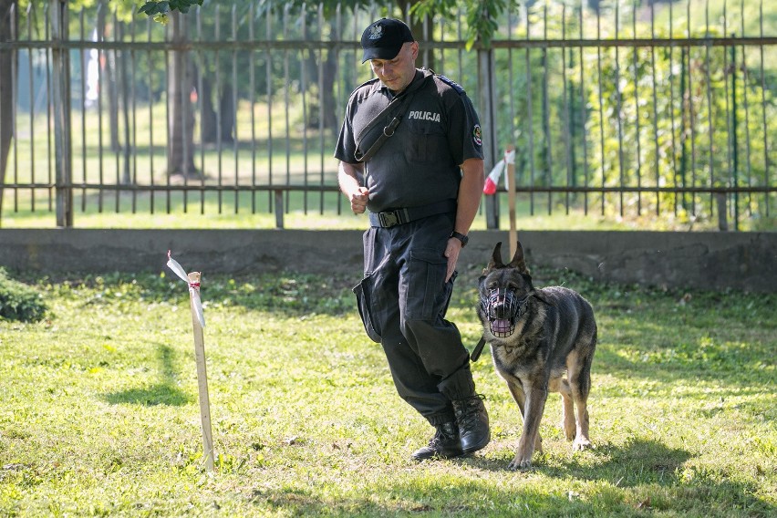 Kraków. Policyjne psy gotowe na ŚDM [ZDJĘCIA, WIDEO]