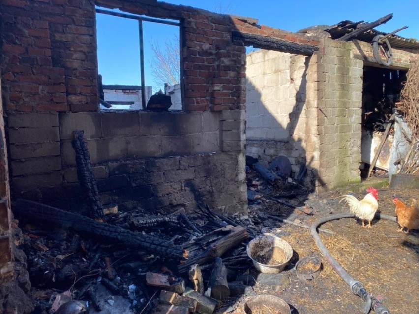 Pożar w Radoszynie. Spłonął budynek gospodarczy i samochód. Strażacy uratowali przed pożogą sąsiadujące budynki