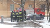 Nietypowa akcja gaśnicza na pl. Litewskim: Ogień w drzewie (zdjęcia)