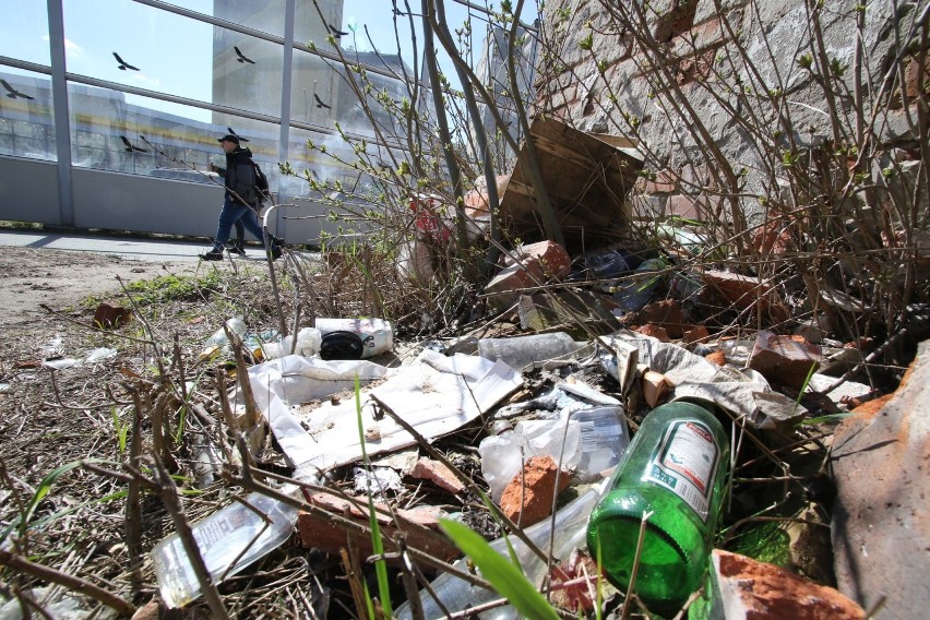 Sterta śmieci na posesji w ścisłym centrum Kielc