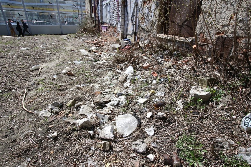 Sterta śmieci na posesji w ścisłym centrum Kielc