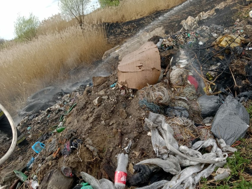 Strażacy gasili pożar trawy i śmieci w Borzykowej w gminie...