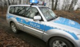 Opole Lubelskie: pijany kierowca zatrzymany. Próbował zepchnąć policjantów z drogi