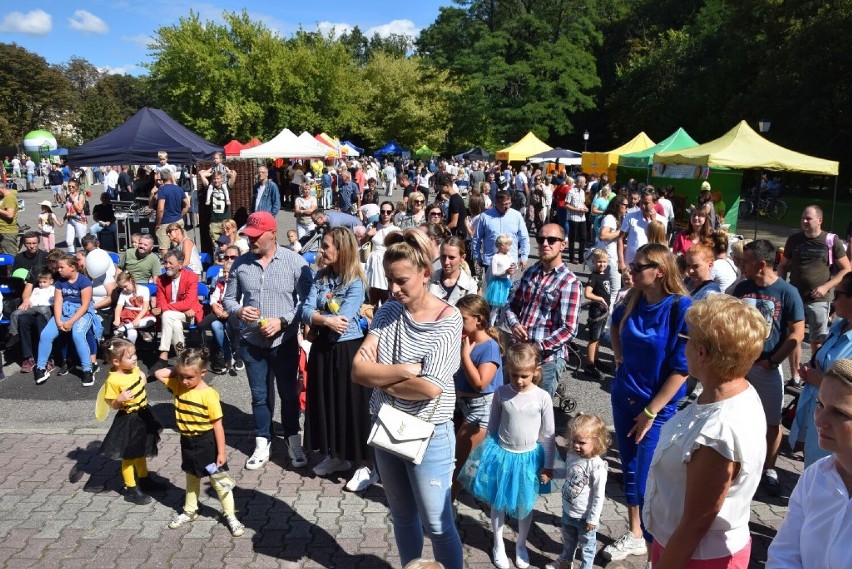 Kaliskie Miodobranie, czyli wszystko to, co misie - i nie...