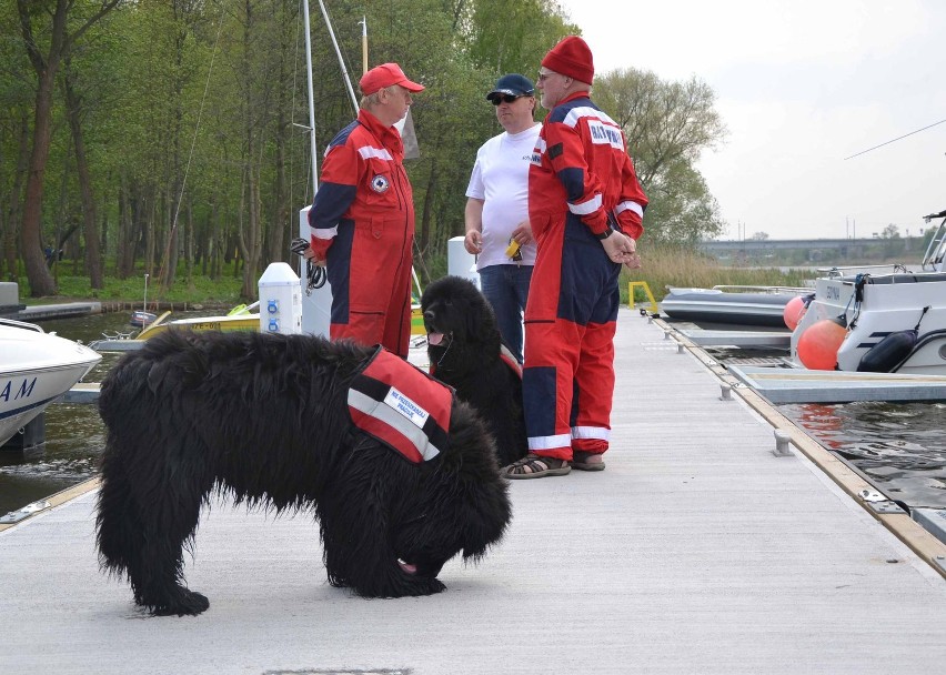 Od otwarcia sezonu żeglarskiego rozpoczęła się majówka w Malborku