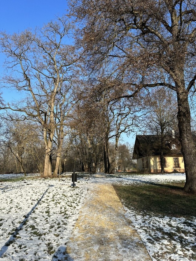 W Krakowie powstało kolejne wyjątkowe miejsce. Otoczenie Dworku Jana Matejki w Krzesławicach nawiązuje do historycznego układu parkowego. Odtworzony został zarys ogrodu geometrycznego przed dworem i swobodny układ alejek w pozostałej części.