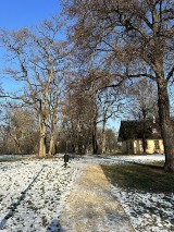 Kraków. Park wokół Dworku Matejki już gotowy   