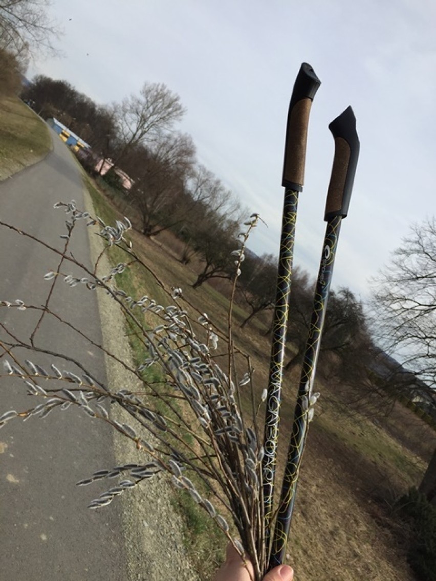 Nowy Sącz. Sportowy Dzień Kobiet w Zespole Szkół Elektryczno-Mechanicznych [ZDJĘCIA]