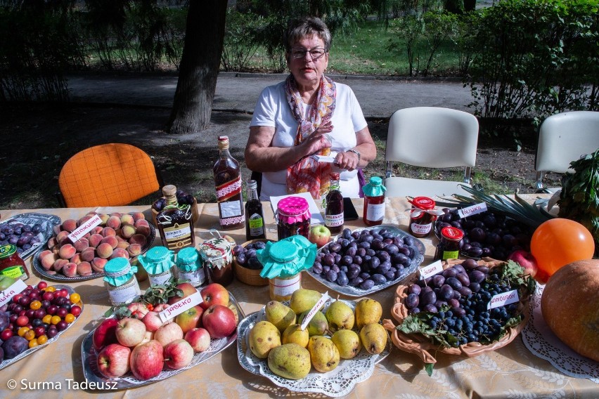 W Stargardzie odbył się I Festyn Senioralny Działkowca [ZDJĘCIA]