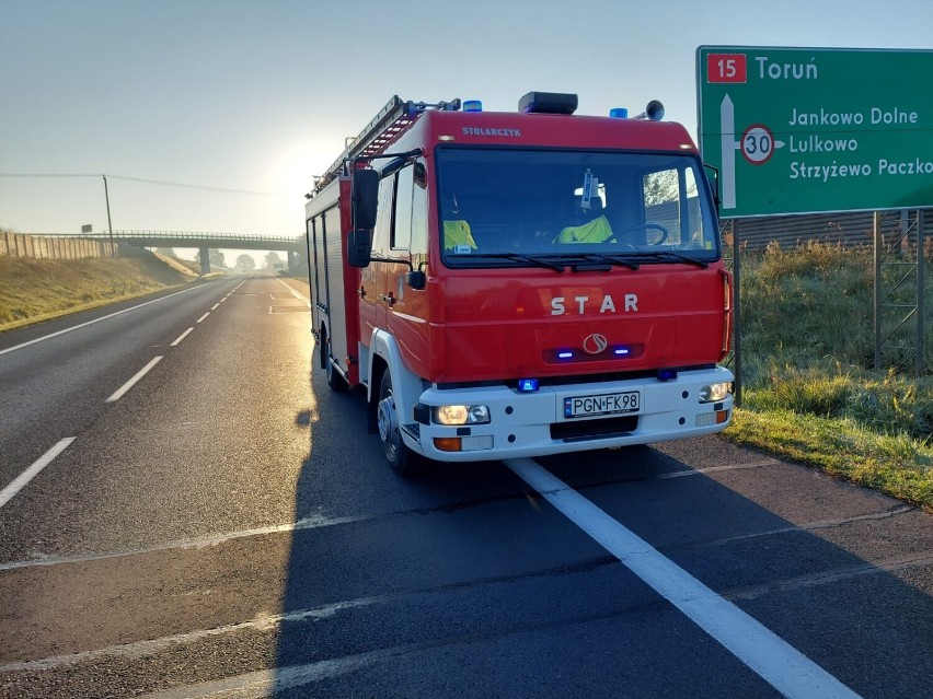 Gmina Gniezno. Poranne dachowanie w Jankowie Dolnym