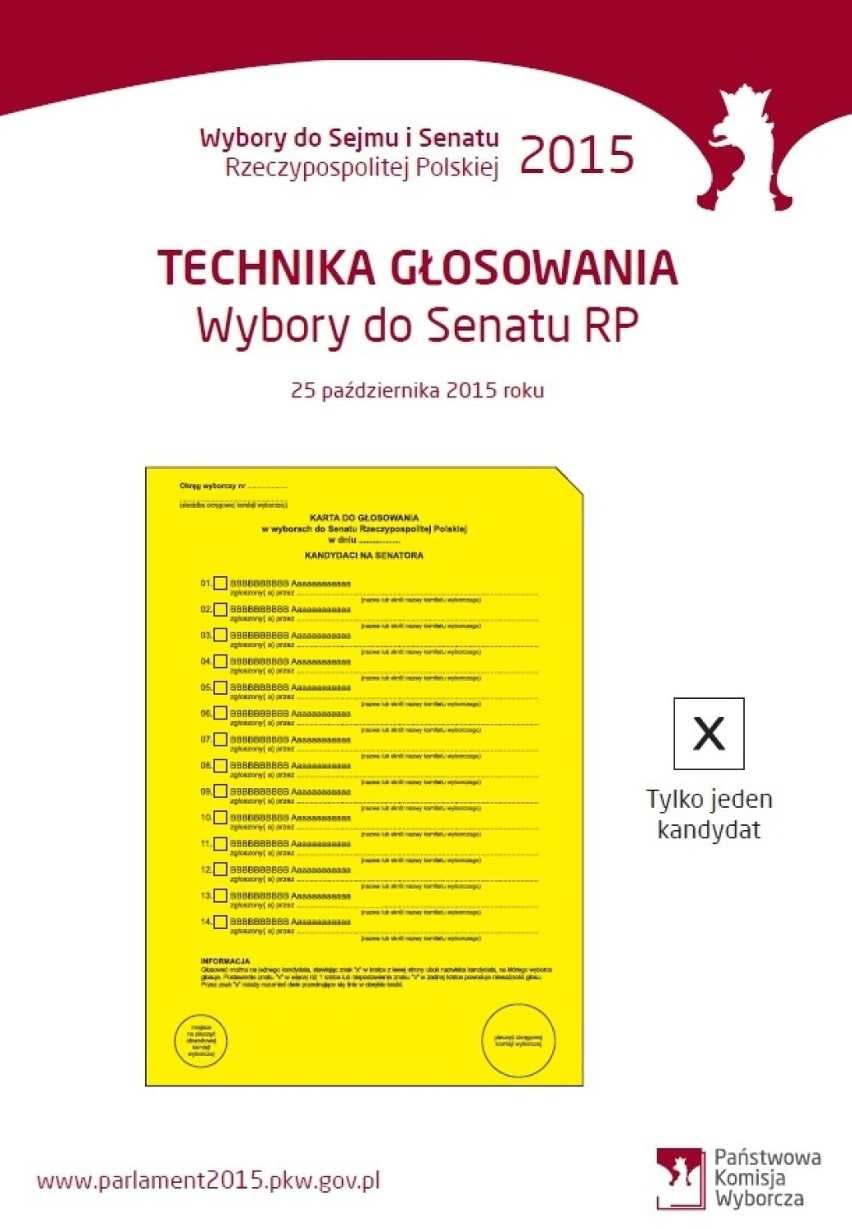 Wybory parlamentarne 2015: Jak poprawnie zagłosować?