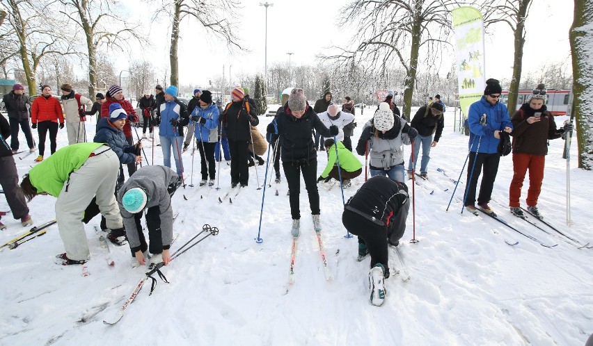 Narty biegowe w parku na Zdrowiu