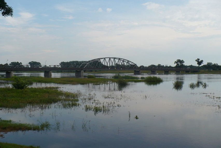 Most na Odrze w Cigacicach. Fot. Jola Paczkowska