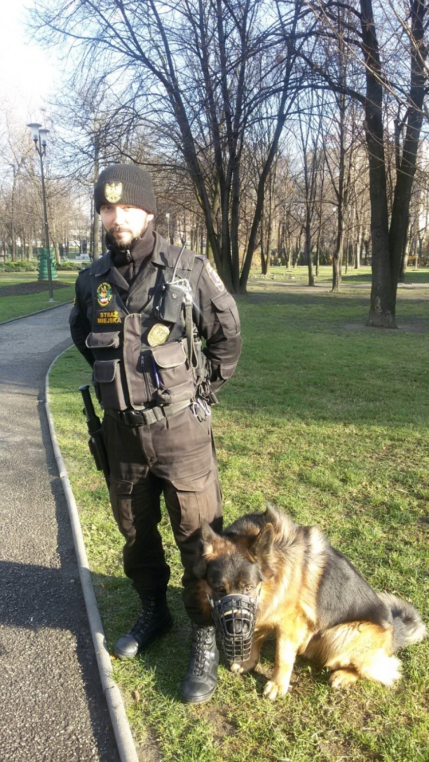 Zbierzmy się do kupy - pod takim hasłem Katowice inaugurują...