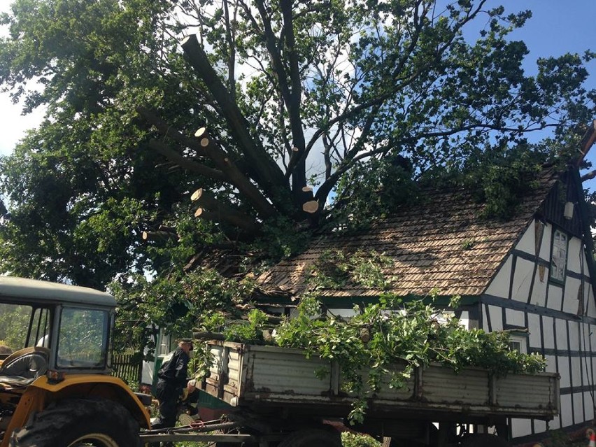W Krzeszycach podczas burzy drzewa zwaliły się na dom [zdjęcia]