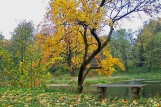 Park pałacowy w Dukli