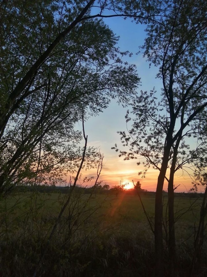 Zachody słońca nad Legnicą na zdjęciach naszych czytelników [GALERIA]