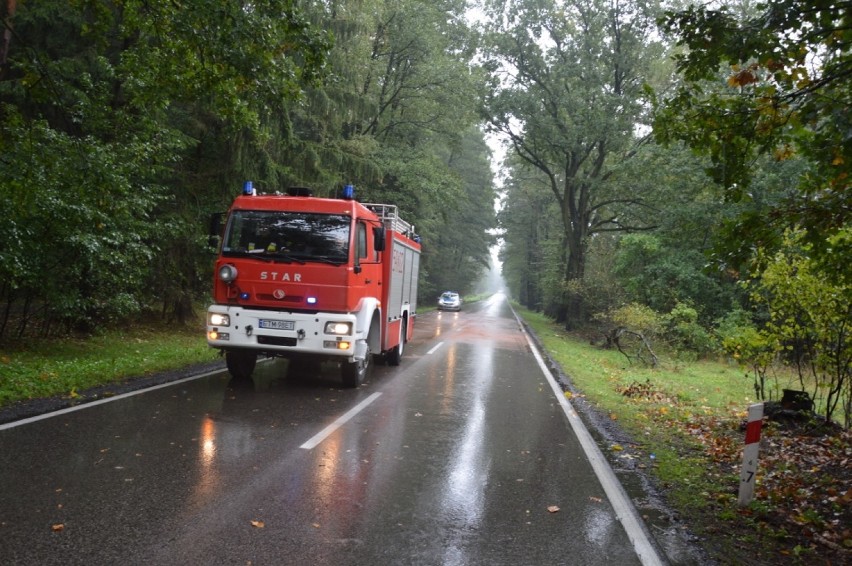 Tragiczny wypadek  koło  Cygana między Tomaszowem a Spałą na DK 48. Nie żyją dwie młode osoby