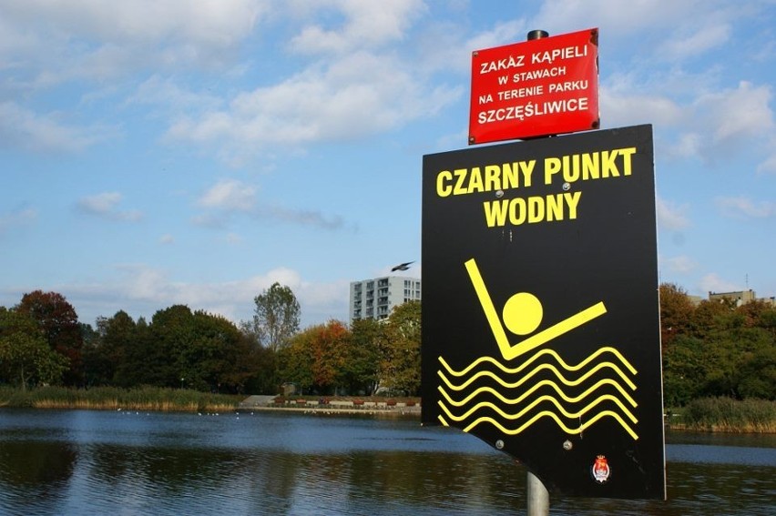 Wspólne nurkowanie: Zobacz co kryje dno jeziora na Szczęśliwicach