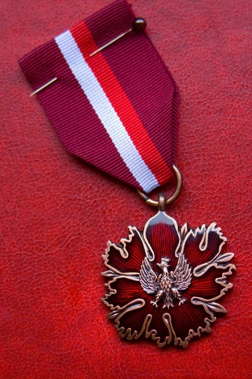 Brązowy Medal Zasłużony Kulturze "Gloria Artis".