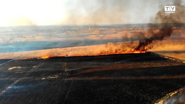 Pożar gasiło ok. 100 strażaków. Spaleniu uległo ok. 150 ha nieużytków