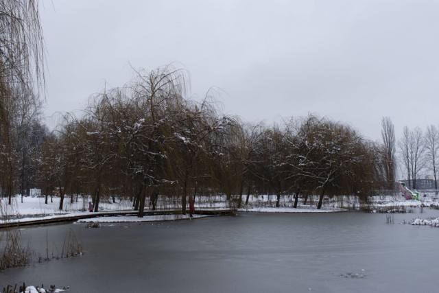 Park Lotników Polskich. Na zdjęciu krakowskie Malediwy