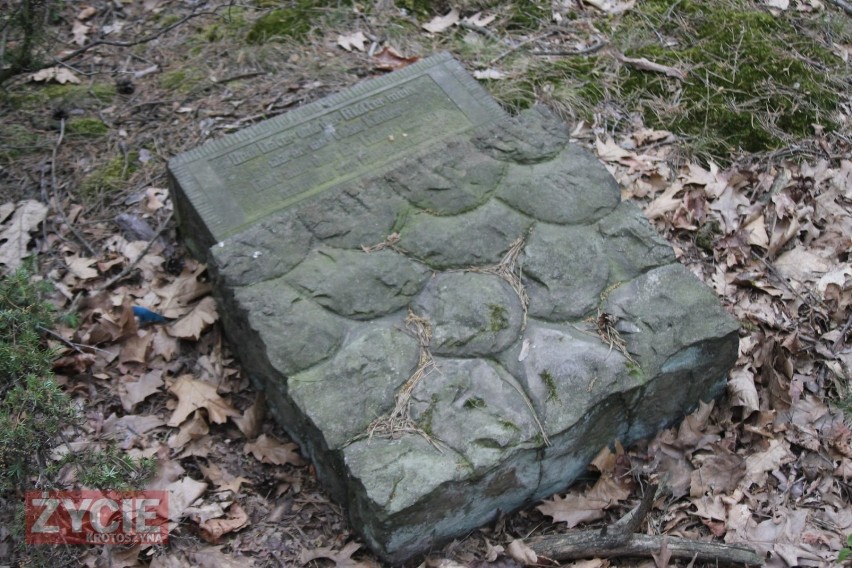 Leśny cmentarz ewangelicki w Granowcu kryje niesamowite tajemnice [ZDJĘCIA]           