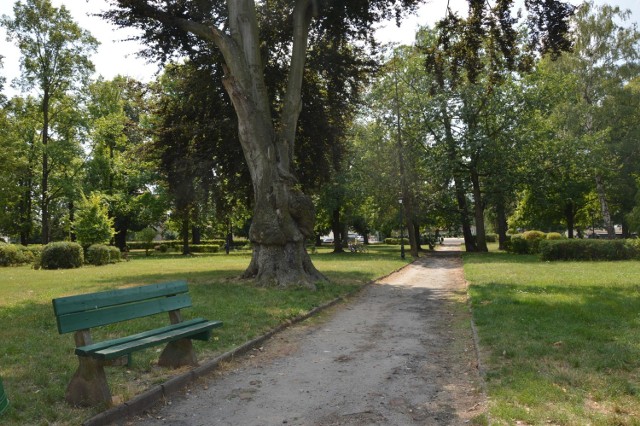 Park przy ul. Zakopiańskiej w Żarach ostatni gruntowny remont przeżył blisko 20 lat temu. Cześć drzew wyschła, alejki od dawna wymagają utwardzenia, nie mówiąc już o ławkach...