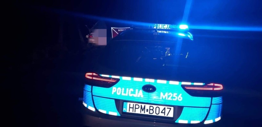 Łomża. Dwa zdarzenia pod miastem z udziałem zwierząt. Policja apeluje  do kierowców o ostrożność