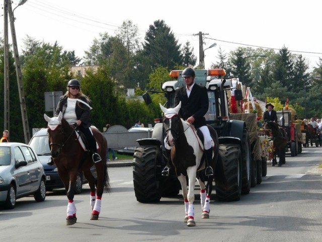 Dożynki powiatowe w Poddębicach 2014